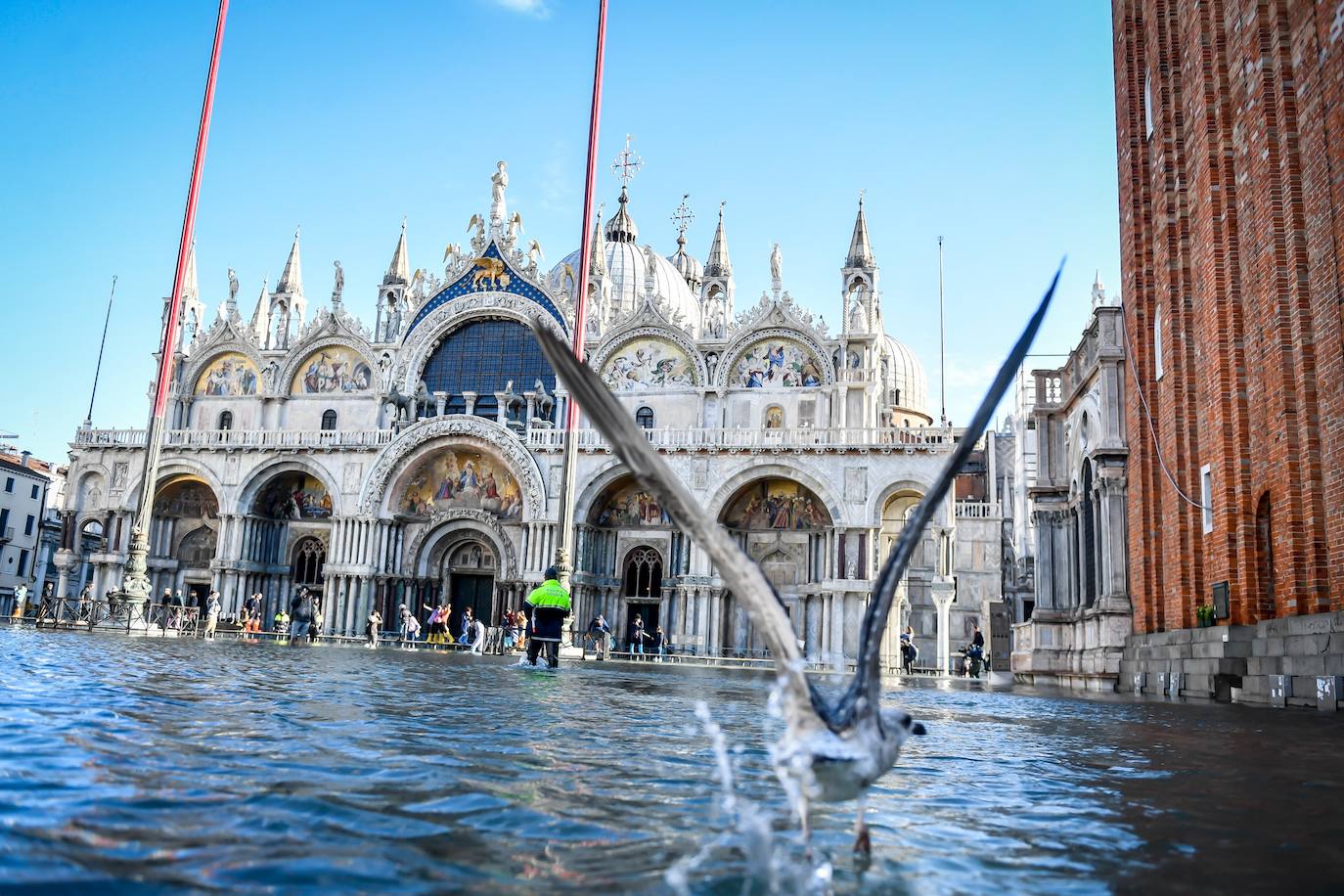 El gobierno italiano decretó este jueves el estado de emergencia en Venecia tras las excepcionales mareas altas que causaron hace dos días incalculables daños al patrimonio artístico e inmueble de una de las joyas arquitectónicas del viejo continente. Con esa medida se pueden reactivar los servicios públicos y privados hasta ahora casi paralizados ante la catástrofe. Los daños ascienden a «cientos de millones de euros» y el decreto liberará fondos inmediatos para indemnizar a la población. Venecia sigue colapsada y se prepara para otros episodios de marea alta, lo que convenció al gobierno de decretar el estado de emergencia. Las previsiones del centro de mareas local anticipan para el viernes un pico importante, de 145 centímetros, hacia las 11H20 local (10h20 GMT) con lluvias y vientos fuertes.