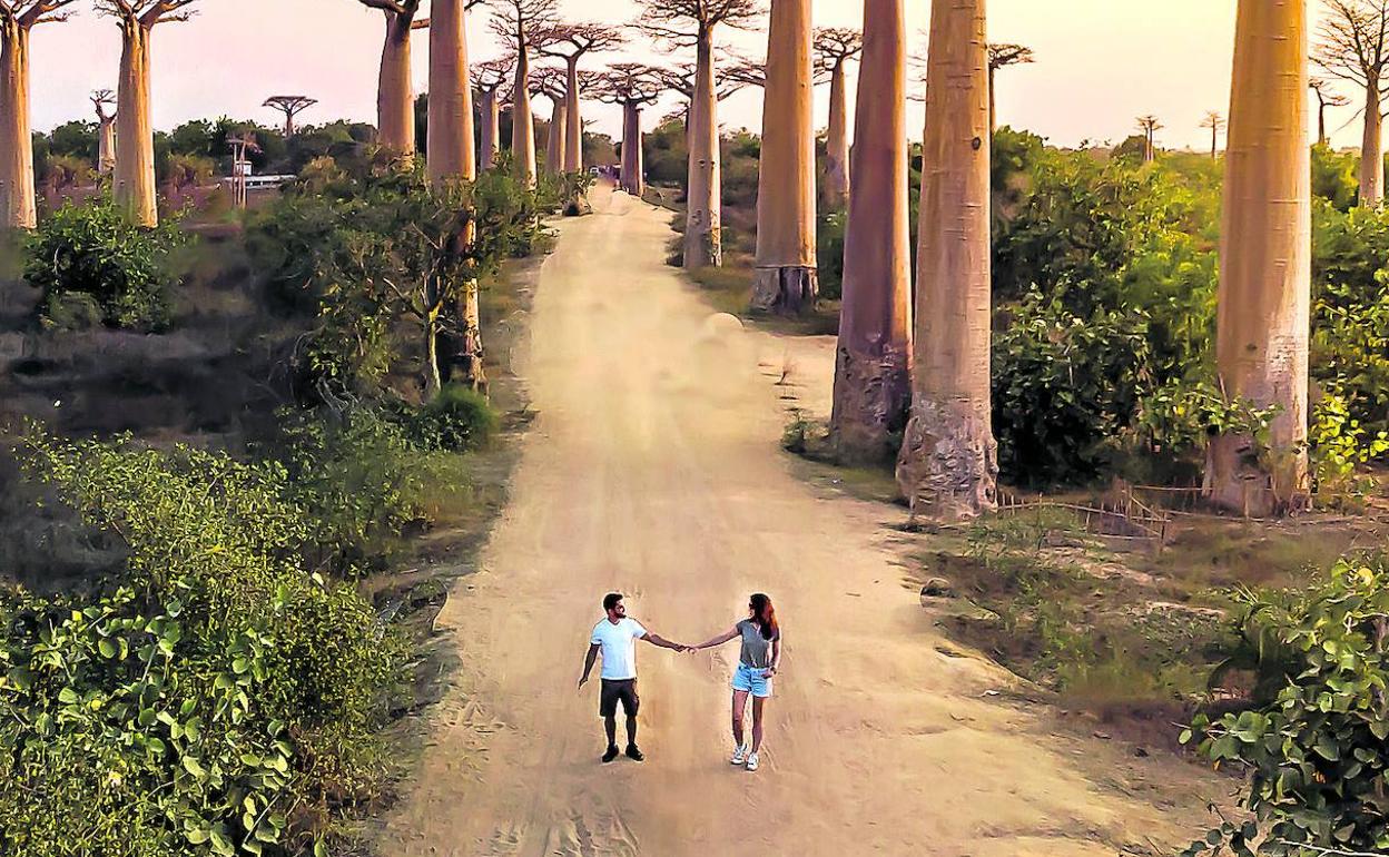 Madagascar. Álvaro Rojas pasea cogido de la mano de su mujer en la conocida como avenida de los baobabs. 