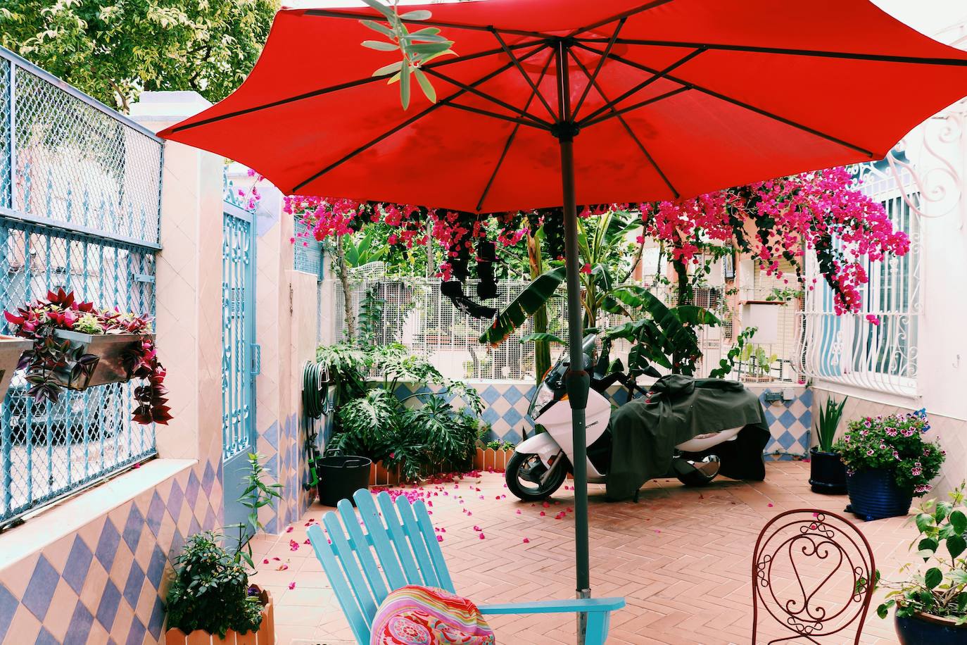 Fotos: Dentro de las casas &#039;La Previsora&#039;