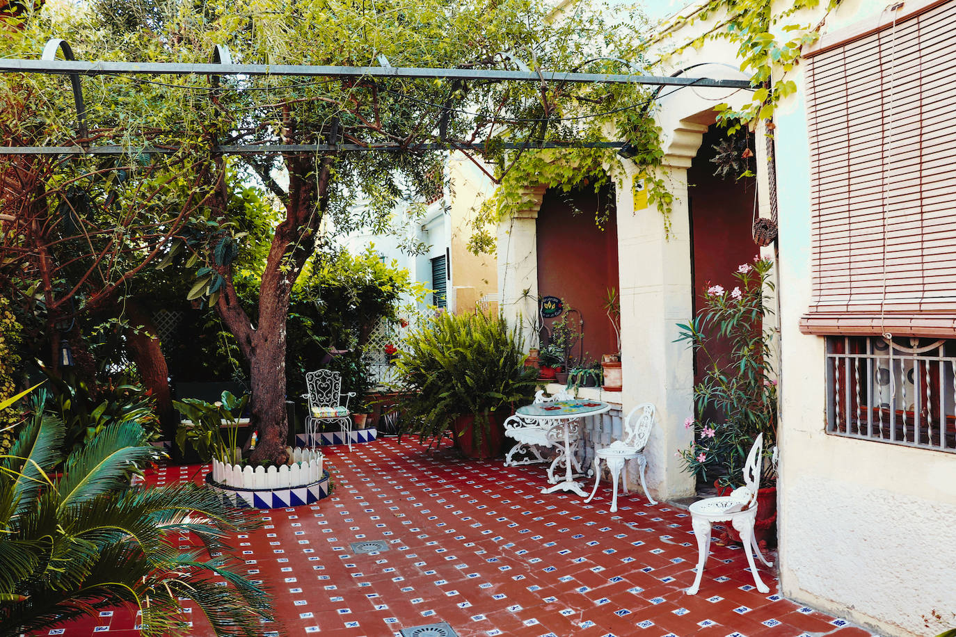 Fotos: Dentro de las casas &#039;La Previsora&#039;