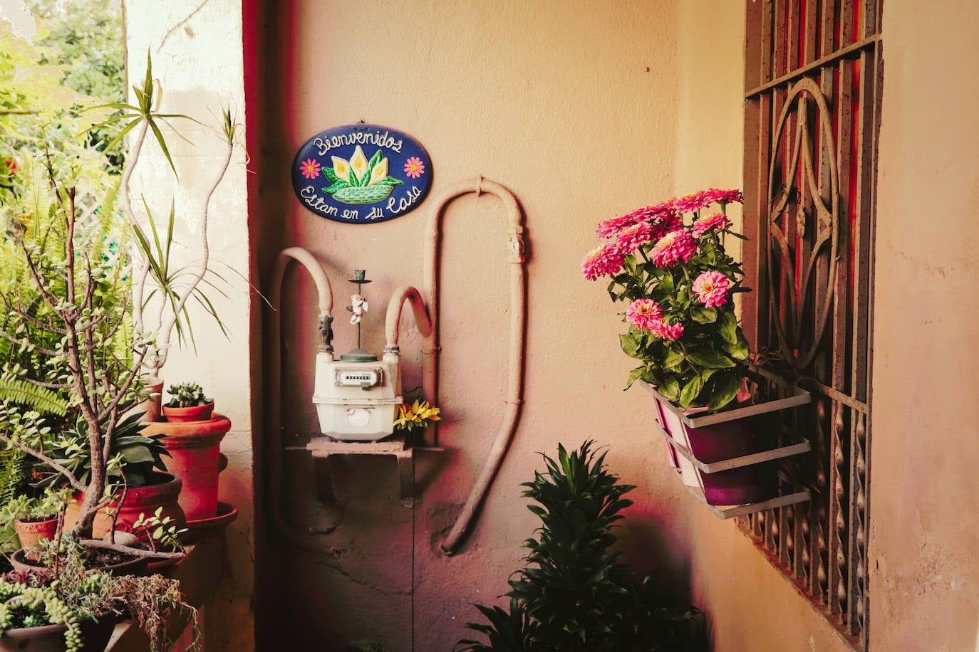 Fotos: Dentro de las casas &#039;La Previsora&#039;