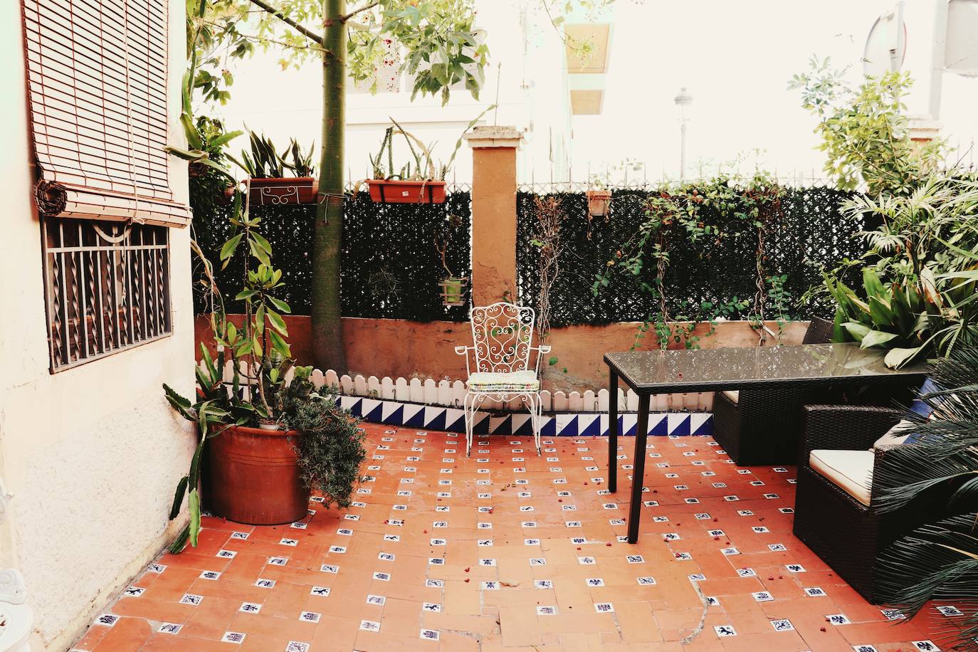 Fotos: Dentro de las casas &#039;La Previsora&#039;