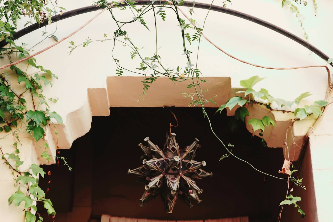 Fotos: Dentro de las casas &#039;La Previsora&#039;