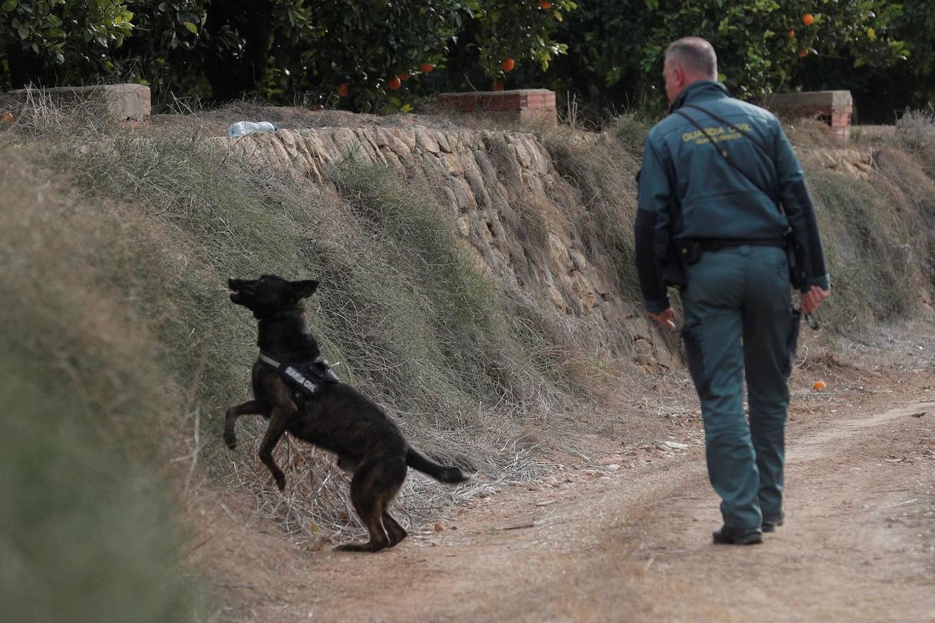 Fotos: Prosigue la búsqueda de Marta Calvo en los alrededores de Manuel