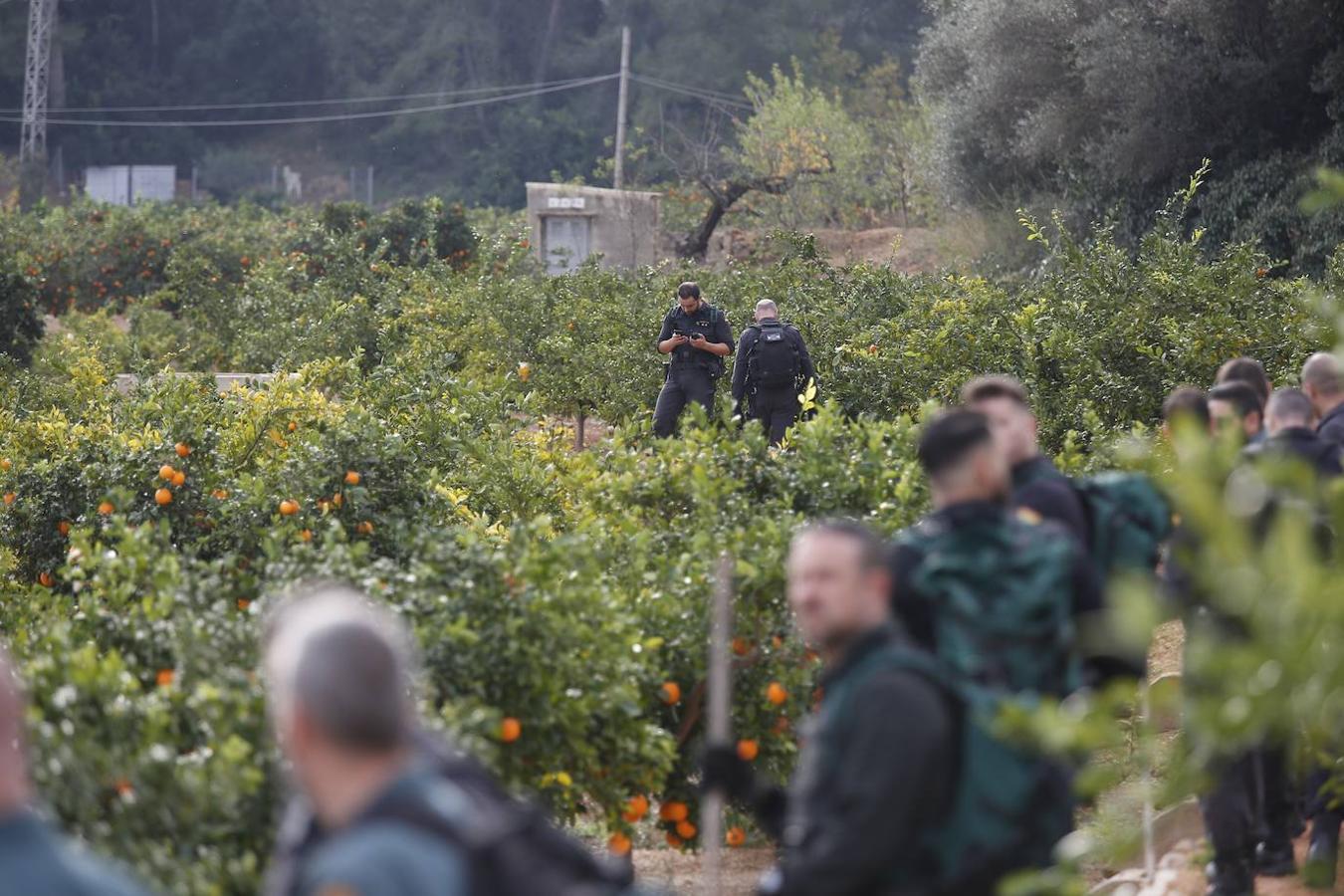 Fotos: Prosigue la búsqueda de Marta Calvo en los alrededores de Manuel