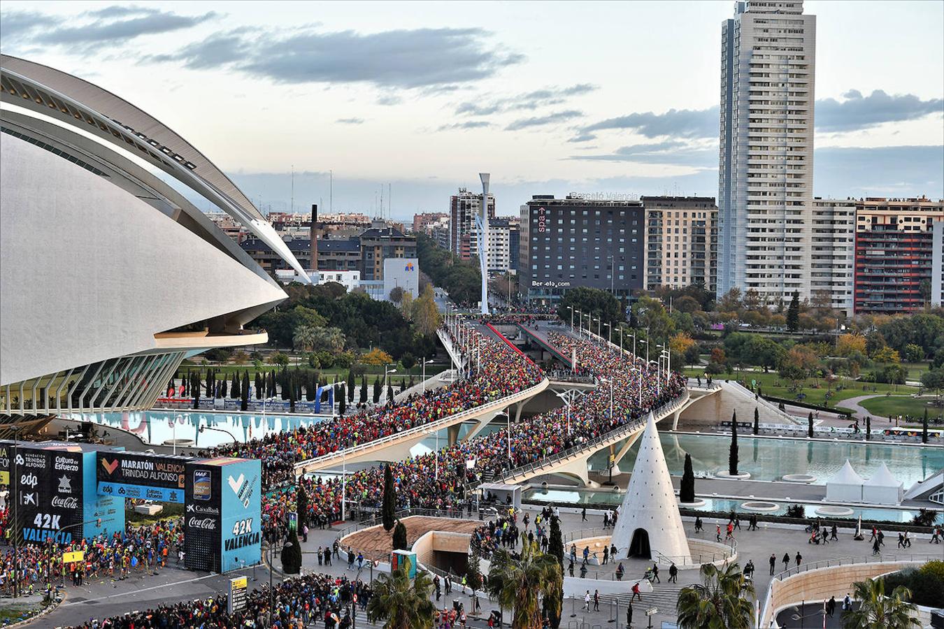 Fotos: Fotos del Maratón de Valencia 2019: las mejores imágenes del 42K más rápido de España