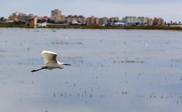 Migración. Las aves llenan el parque durante los meses de invierno.