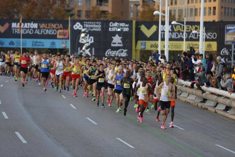 Fotos: Fotos del Maratón de Valencia 2019: las mejores imágenes del 42K más rápido de España