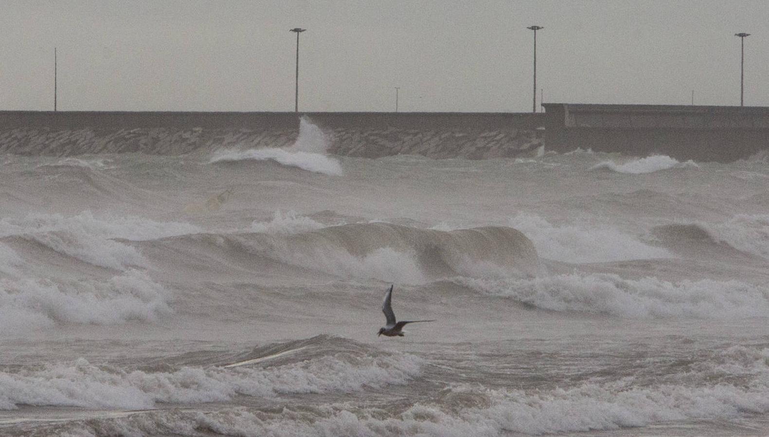 El puerto de Valencia ha estado cerrado por el temporal de viento. 