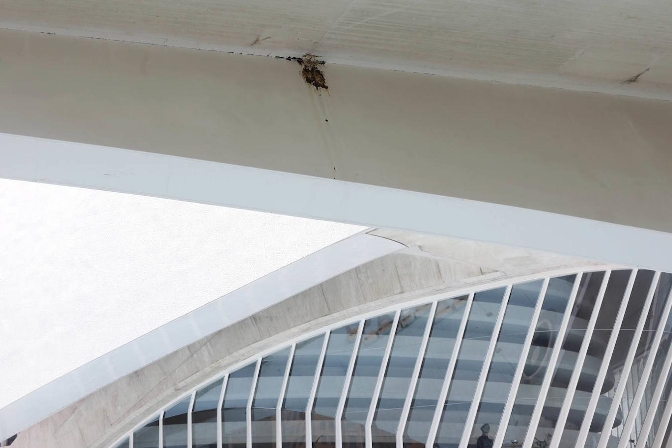 Fotos: Suciedad y falta de pintura afean la Ciudad de las Ciencias