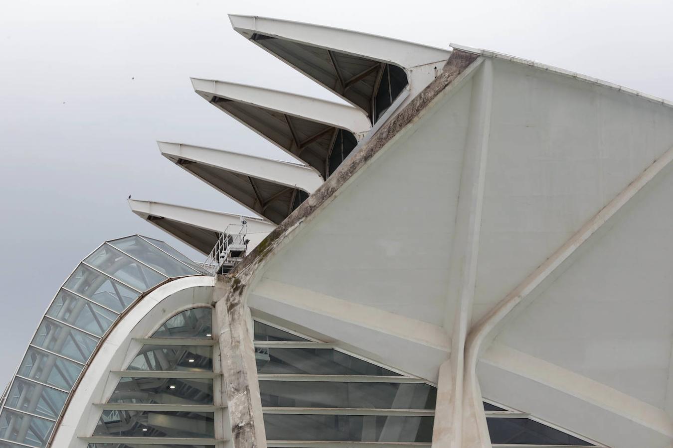 Fotos: Suciedad y falta de pintura afean la Ciudad de las Ciencias