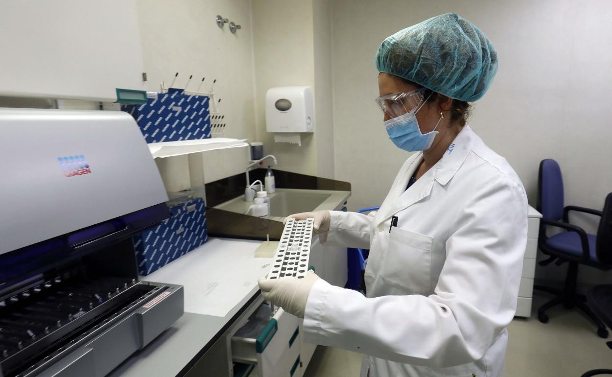 Una profesional forense trabaja en las instalaciones del Instituto de Medicina Legal (IML) de Valencia.