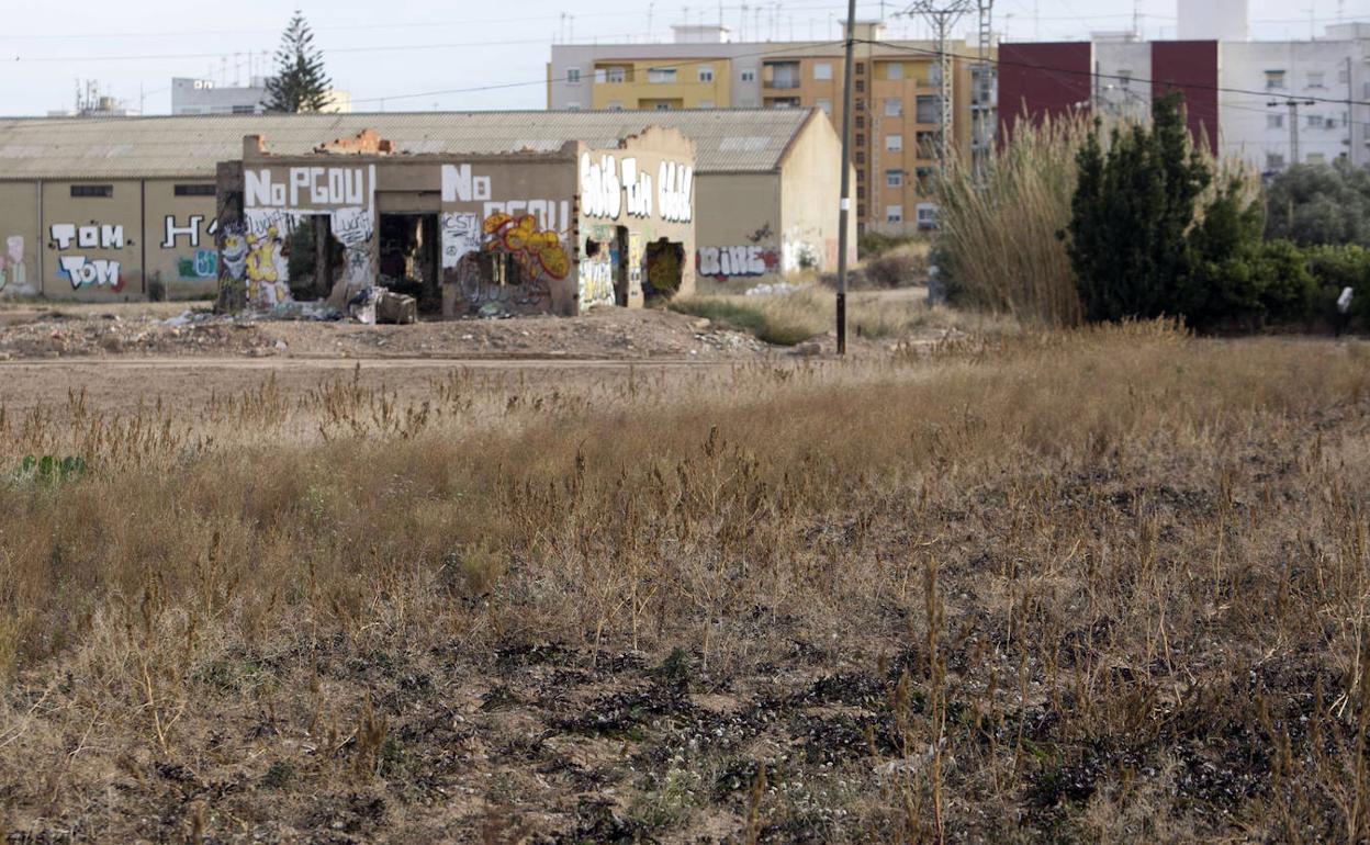 Campo de cultivo abandonado en Valencia. 