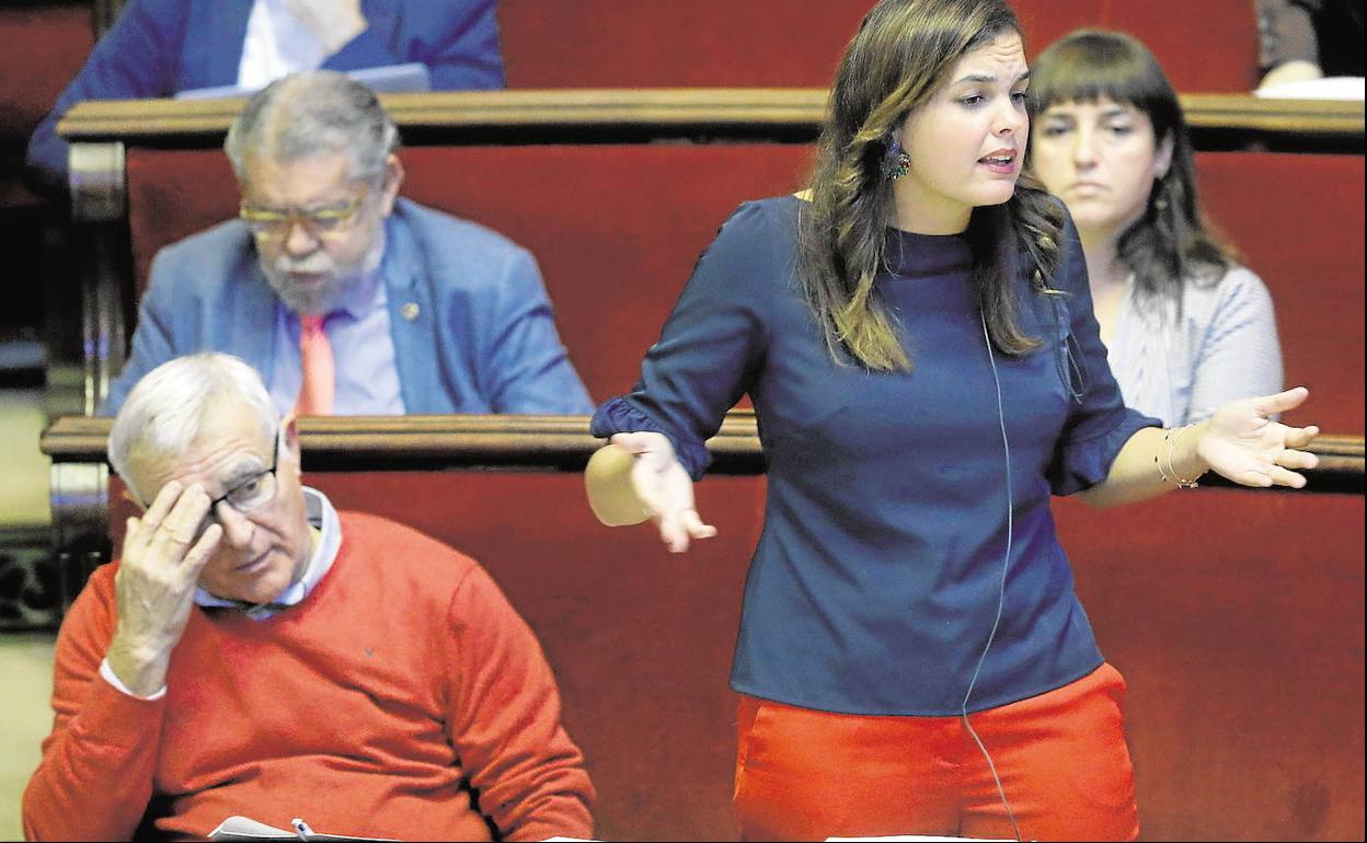 Ribó y Gómez, durante el pleno ordinario. 