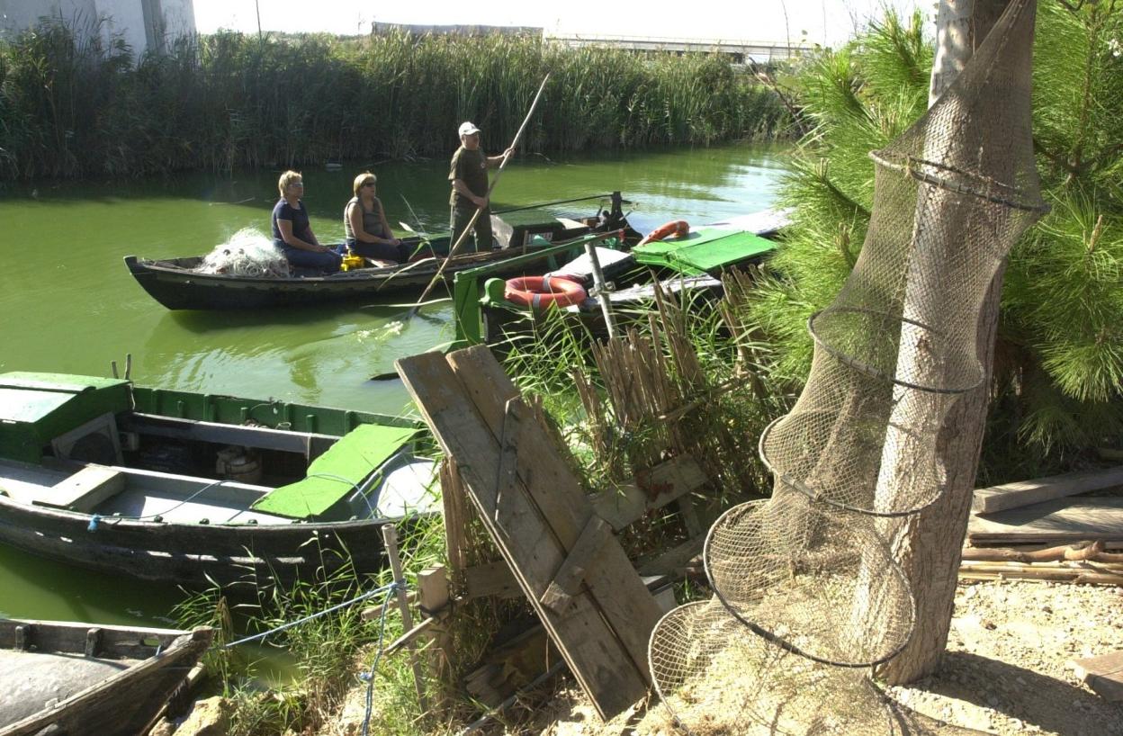 Pescadores de El Palmar en un canal del lago. En primer término, un típico 'mornell' para capturar anguilas. 