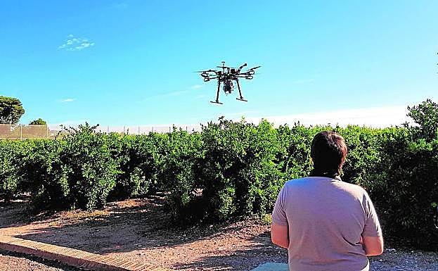 Anecoop pone el rumbo a la agricultura 4.0 con drones y sensores