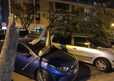 Imagen secundaria 1 - El viento en Valencia provoca el cierre de la pista de hielo, caída de árboles y cancelaciones de trenes