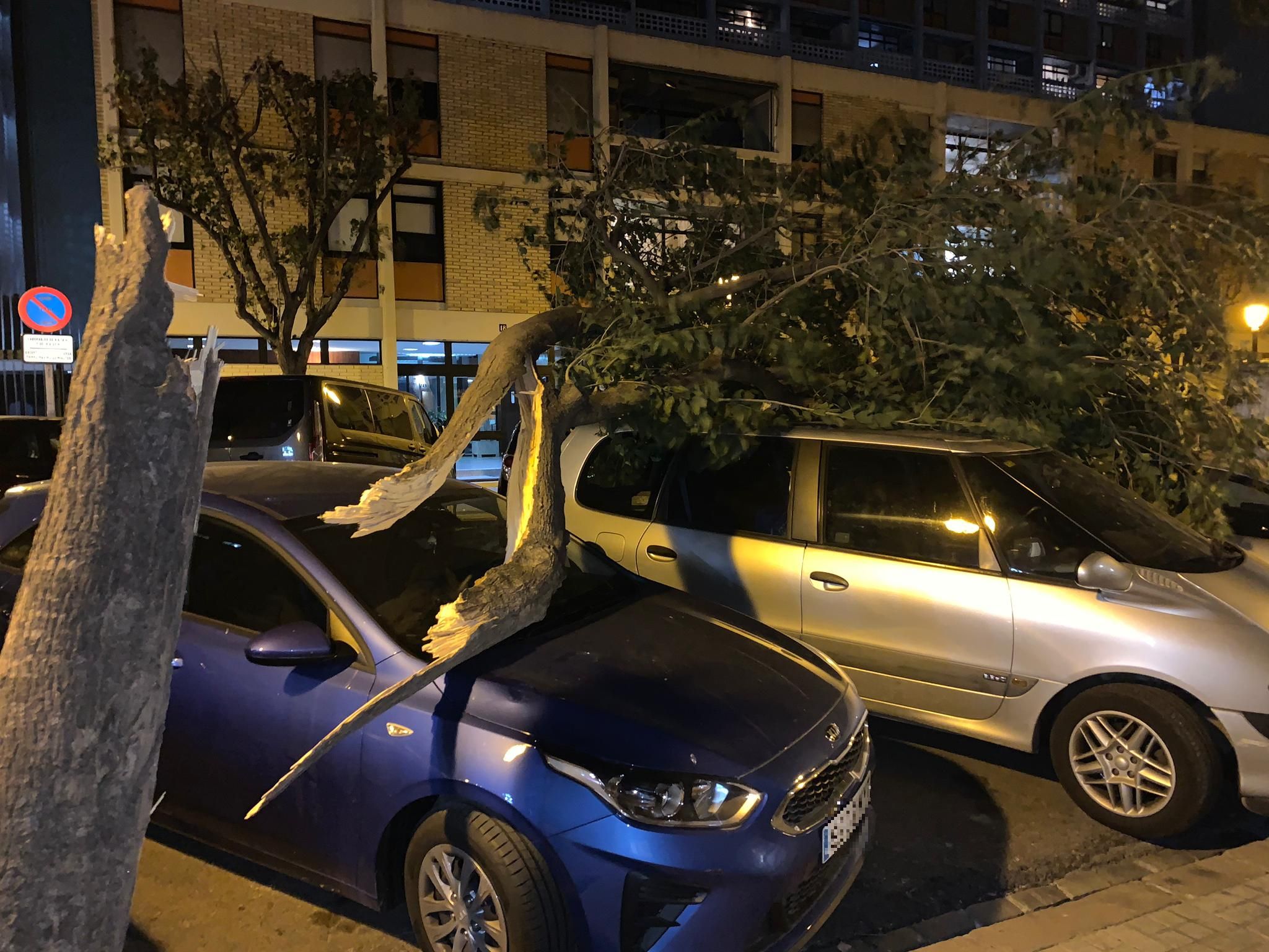 Fotos: Efectos de las fuertes rachas de viento en Valencia