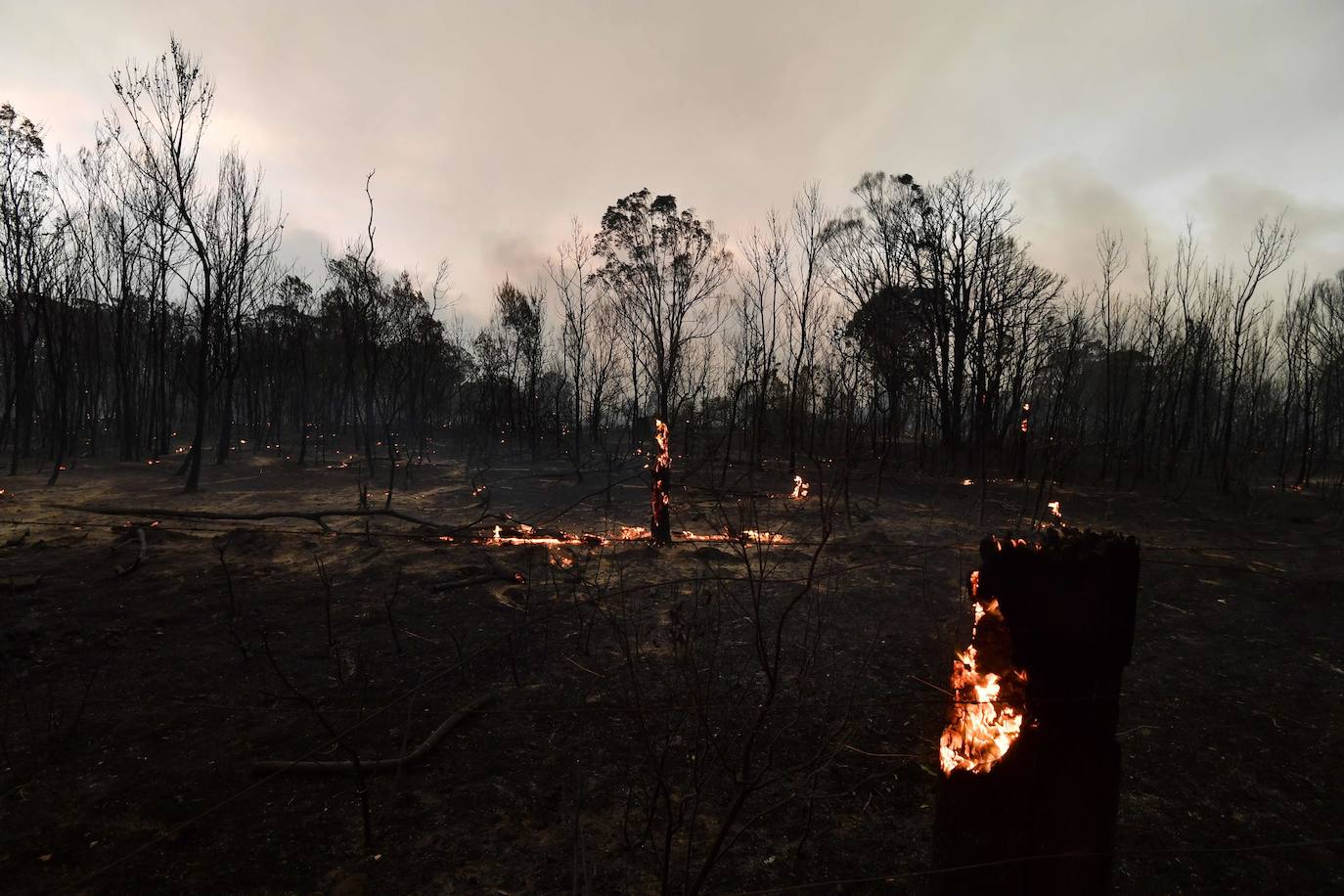 Los incendios forestales que arden sin control en Australia han obligado este martes a miles de personas a refugiarse en playas del sureste del país, en donde el fuego ha provocado 12 muertos y quemado un área similar a la de Costa Rica en los últimos meses. Centenares de incendios arden en esta última jornada del 2019 en Australia, en donde la atención se centra principalmente en la costa suroriental del país debido a las altas temperaturas, los fuertes vientos y el avance de las llamas hacia la costa.