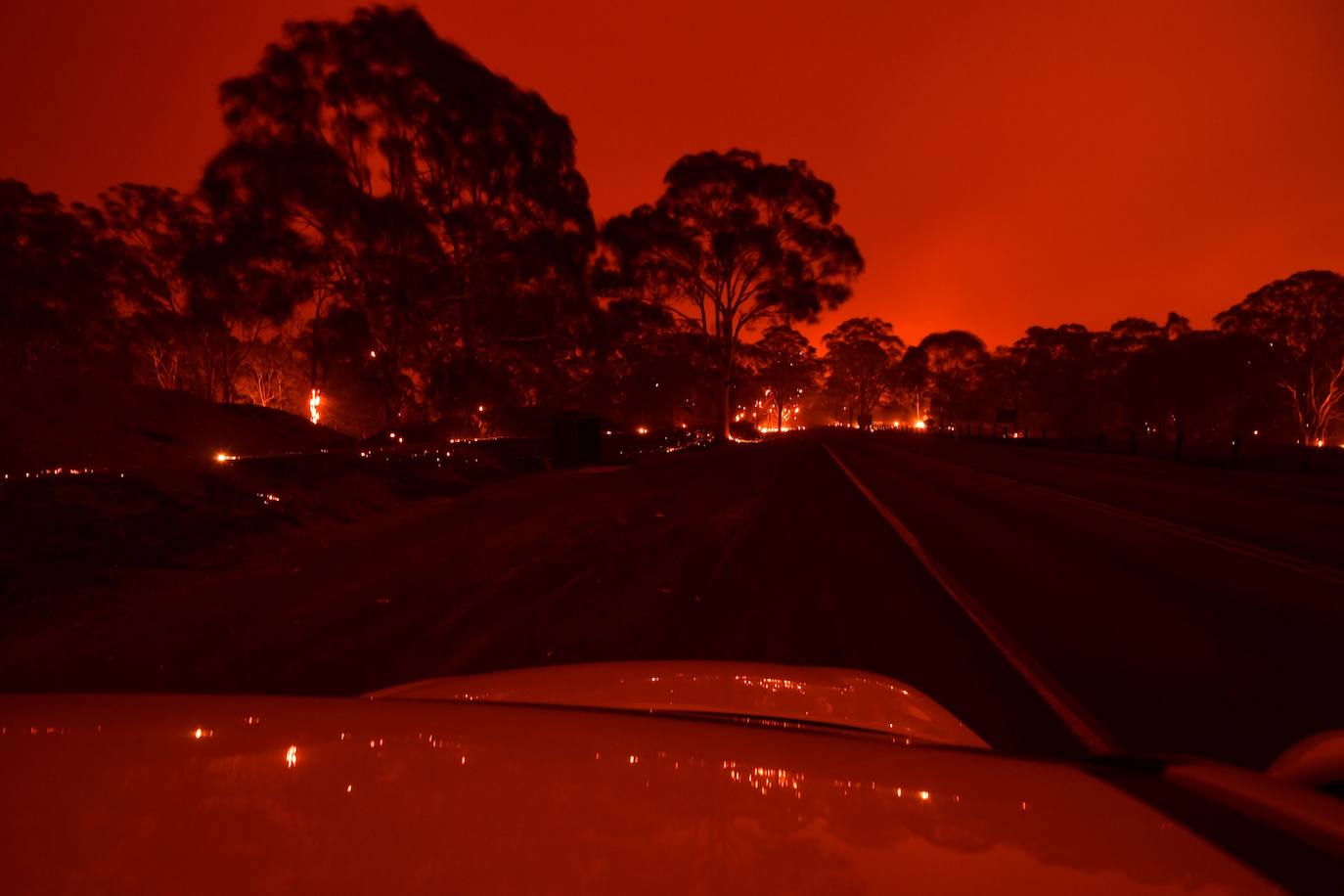 Los incendios forestales que arden sin control en Australia han obligado este martes a miles de personas a refugiarse en playas del sureste del país, en donde el fuego ha provocado 12 muertos y quemado un área similar a la de Costa Rica en los últimos meses. Centenares de incendios arden en esta última jornada del 2019 en Australia, en donde la atención se centra principalmente en la costa suroriental del país debido a las altas temperaturas, los fuertes vientos y el avance de las llamas hacia la costa.