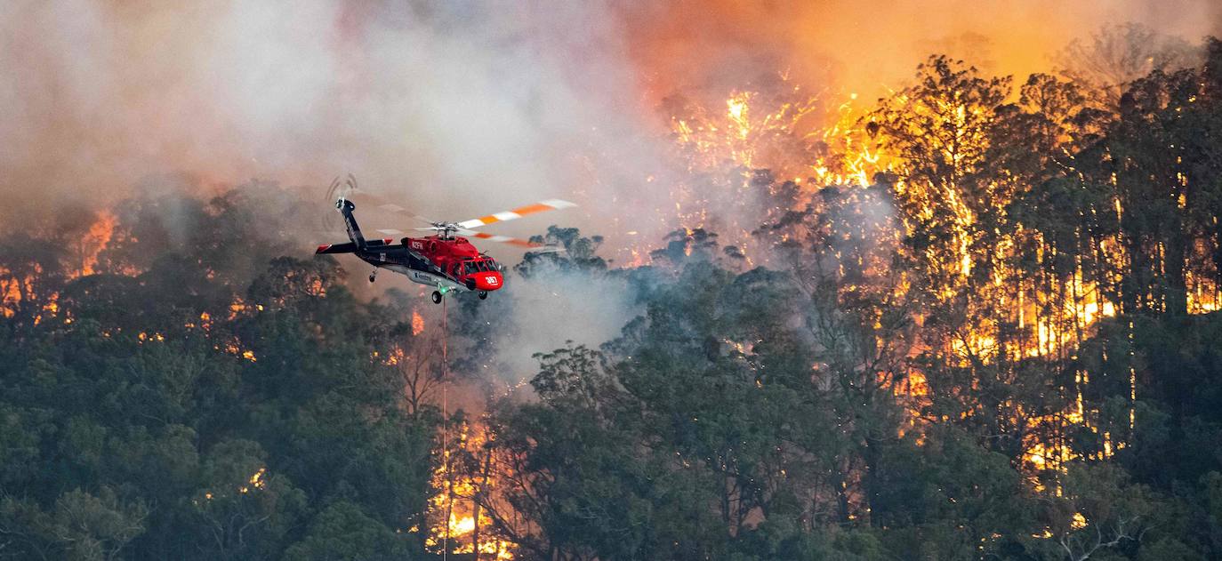 Los incendios forestales que arden sin control en Australia han obligado este martes a miles de personas a refugiarse en playas del sureste del país, en donde el fuego ha provocado 12 muertos y quemado un área similar a la de Costa Rica en los últimos meses. Centenares de incendios arden en esta última jornada del 2019 en Australia, en donde la atención se centra principalmente en la costa suroriental del país debido a las altas temperaturas, los fuertes vientos y el avance de las llamas hacia la costa.