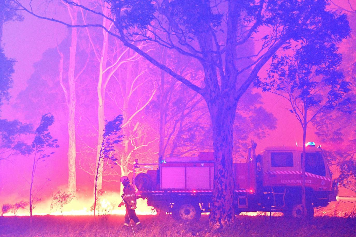 Los incendios forestales que arden sin control en Australia han obligado este martes a miles de personas a refugiarse en playas del sureste del país, en donde el fuego ha provocado 12 muertos y quemado un área similar a la de Costa Rica en los últimos meses. Centenares de incendios arden en esta última jornada del 2019 en Australia, en donde la atención se centra principalmente en la costa suroriental del país debido a las altas temperaturas, los fuertes vientos y el avance de las llamas hacia la costa.