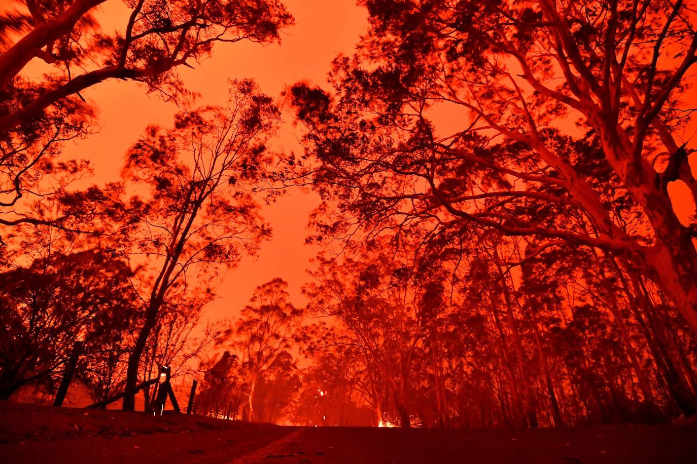 Los incendios forestales que arden sin control en Australia han obligado este martes a miles de personas a refugiarse en playas del sureste del país, en donde el fuego ha provocado 12 muertos y quemado un área similar a la de Costa Rica en los últimos meses. Centenares de incendios arden en esta última jornada del 2019 en Australia, en donde la atención se centra principalmente en la costa suroriental del país debido a las altas temperaturas, los fuertes vientos y el avance de las llamas hacia la costa.