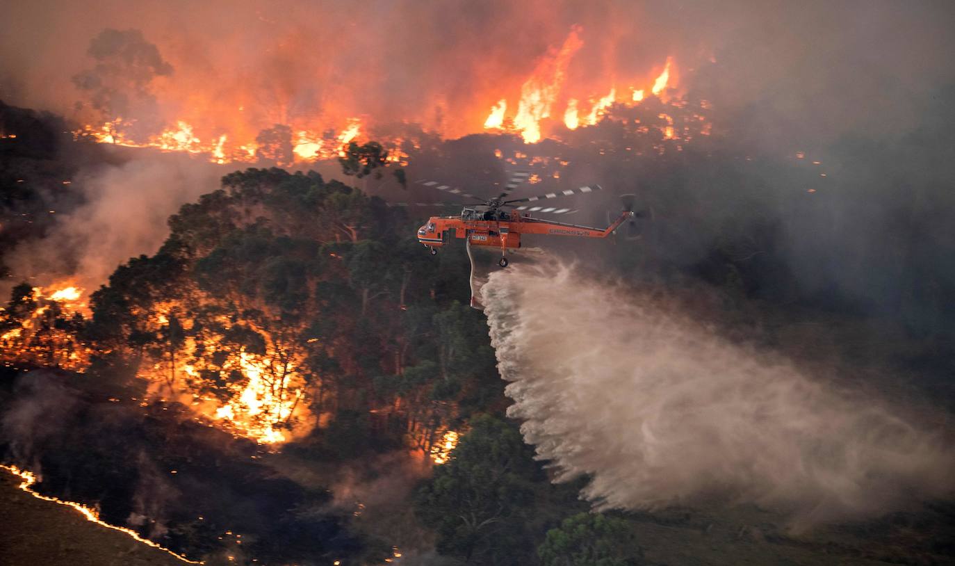 Los incendios forestales que arden sin control en Australia han obligado este martes a miles de personas a refugiarse en playas del sureste del país, en donde el fuego ha provocado 12 muertos y quemado un área similar a la de Costa Rica en los últimos meses. Centenares de incendios arden en esta última jornada del 2019 en Australia, en donde la atención se centra principalmente en la costa suroriental del país debido a las altas temperaturas, los fuertes vientos y el avance de las llamas hacia la costa.