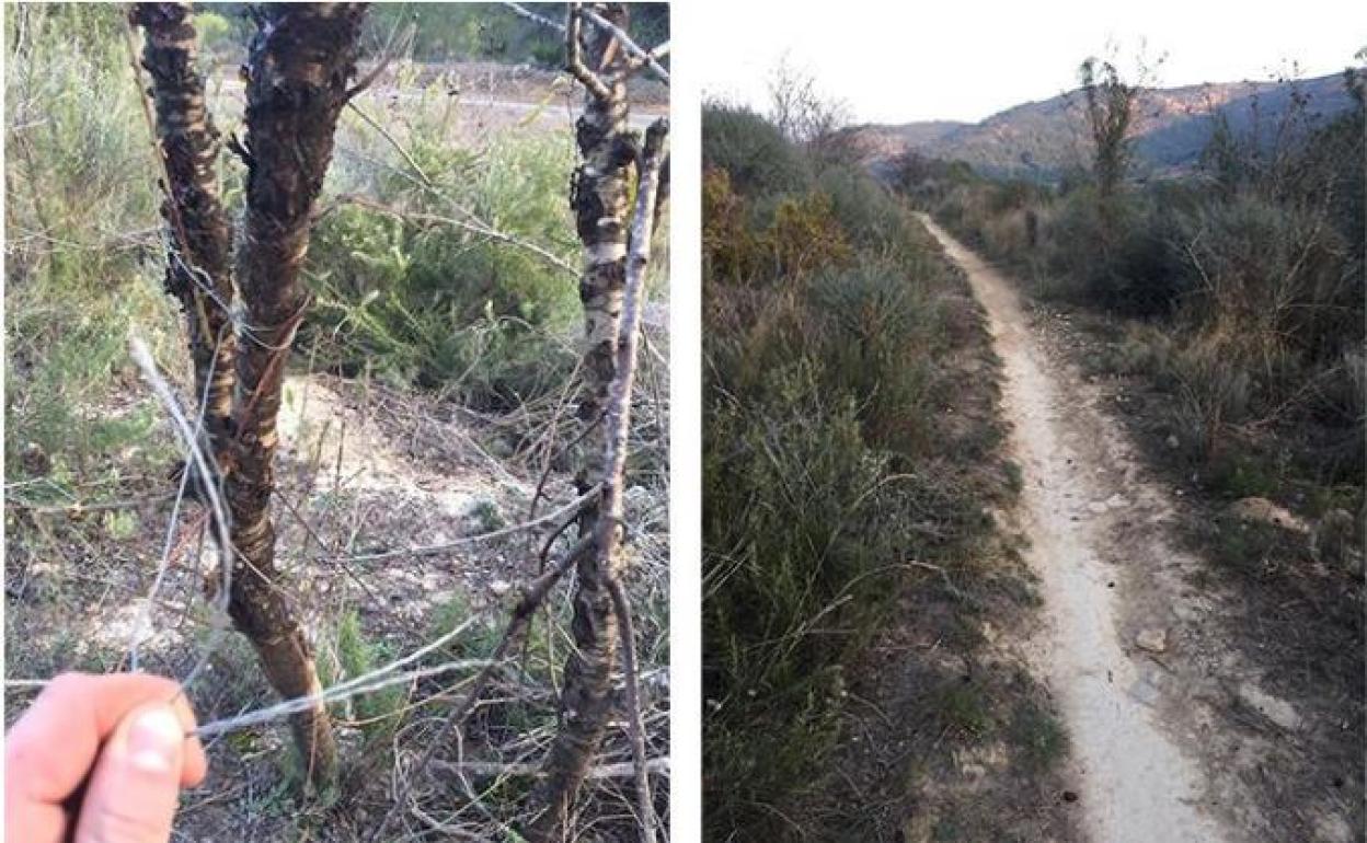 Cabanes | Colocan alambres en caminos para dañar a ciclistas