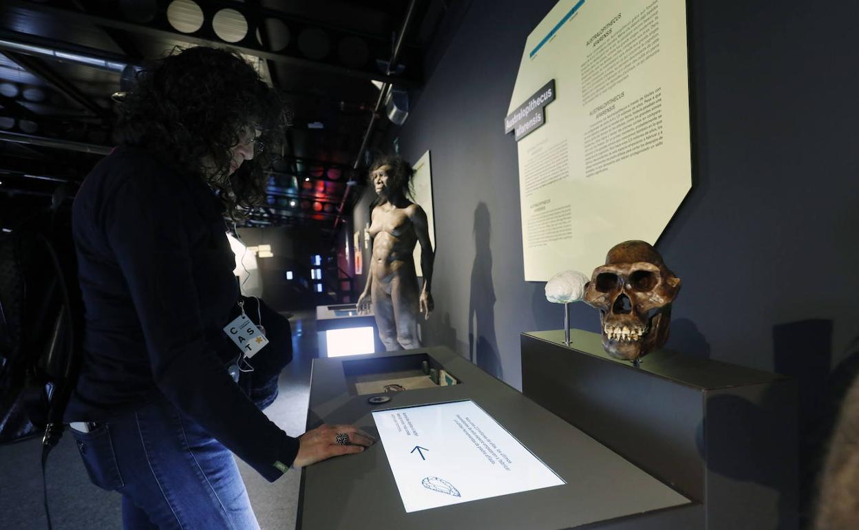 Imagen de la exposición 'Talking brains' en el Museo Príncipe Felipe, que ha alcanzado los 891.000 visitantes en 2019. 