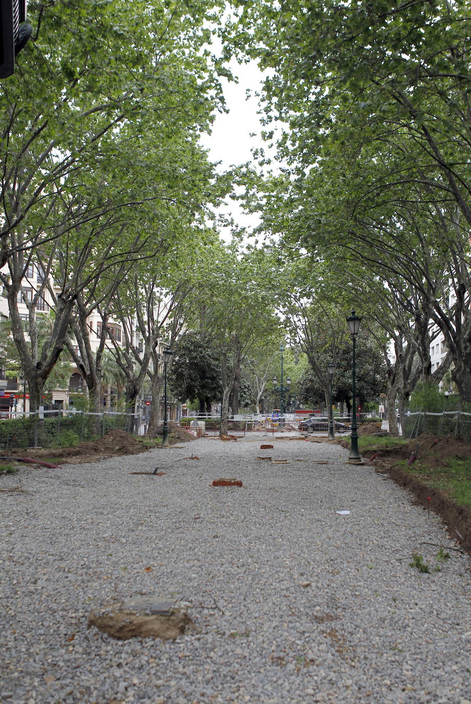 En concreto, la partida se destinará a plantar árboles en las grandes avenidas de Valencia, como Ausiàs March, Peset Aleixandre, Pérez Galdós y Cardenal Benlloch. 