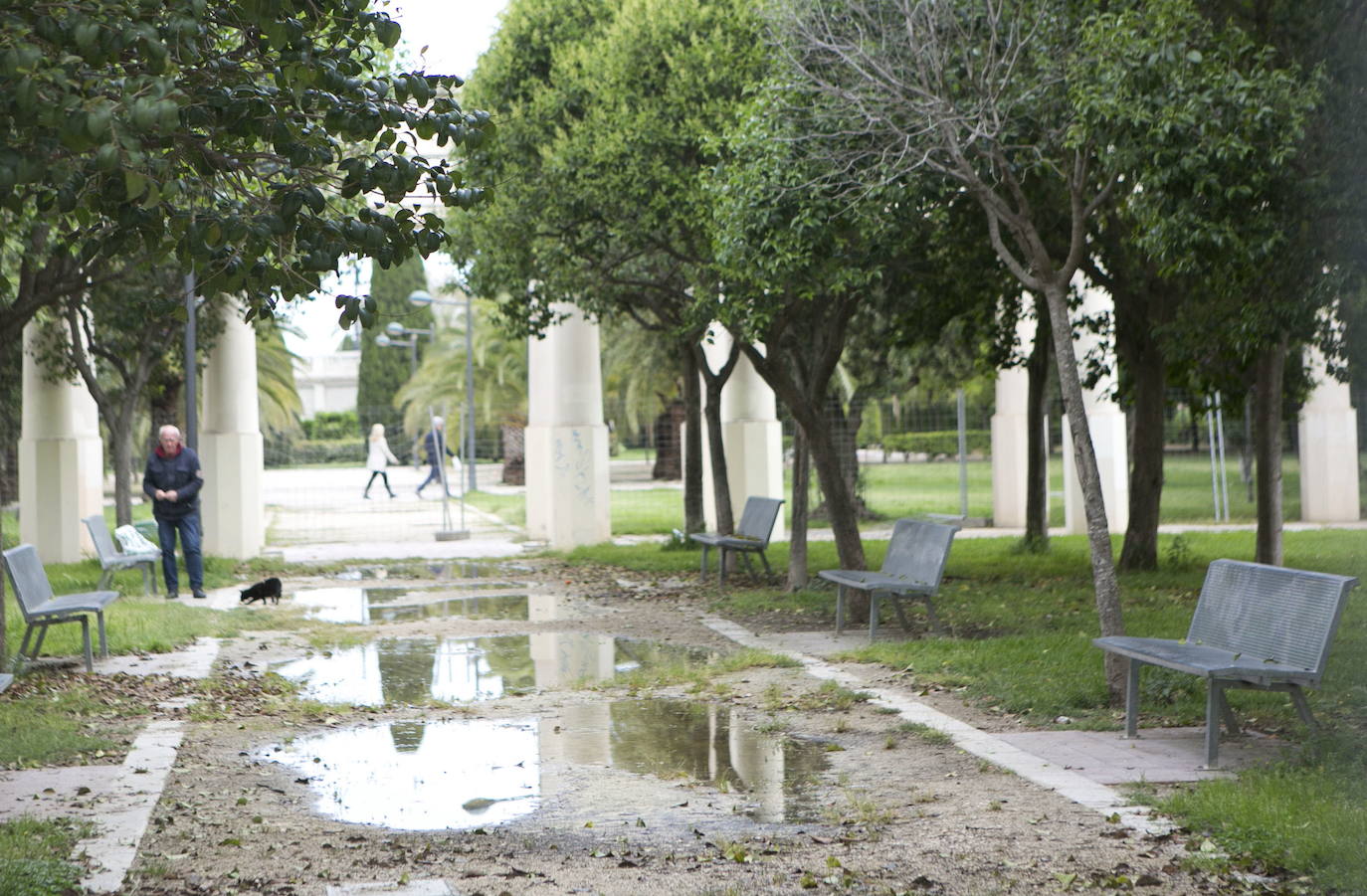 Entre la lista de propuestas también se encuentra la partida de 18.000 euros para un estudio que recuperará la idea de un túnel en la marginal izquierda del viejo cauce a la altura del Museo de Bellas Artes.