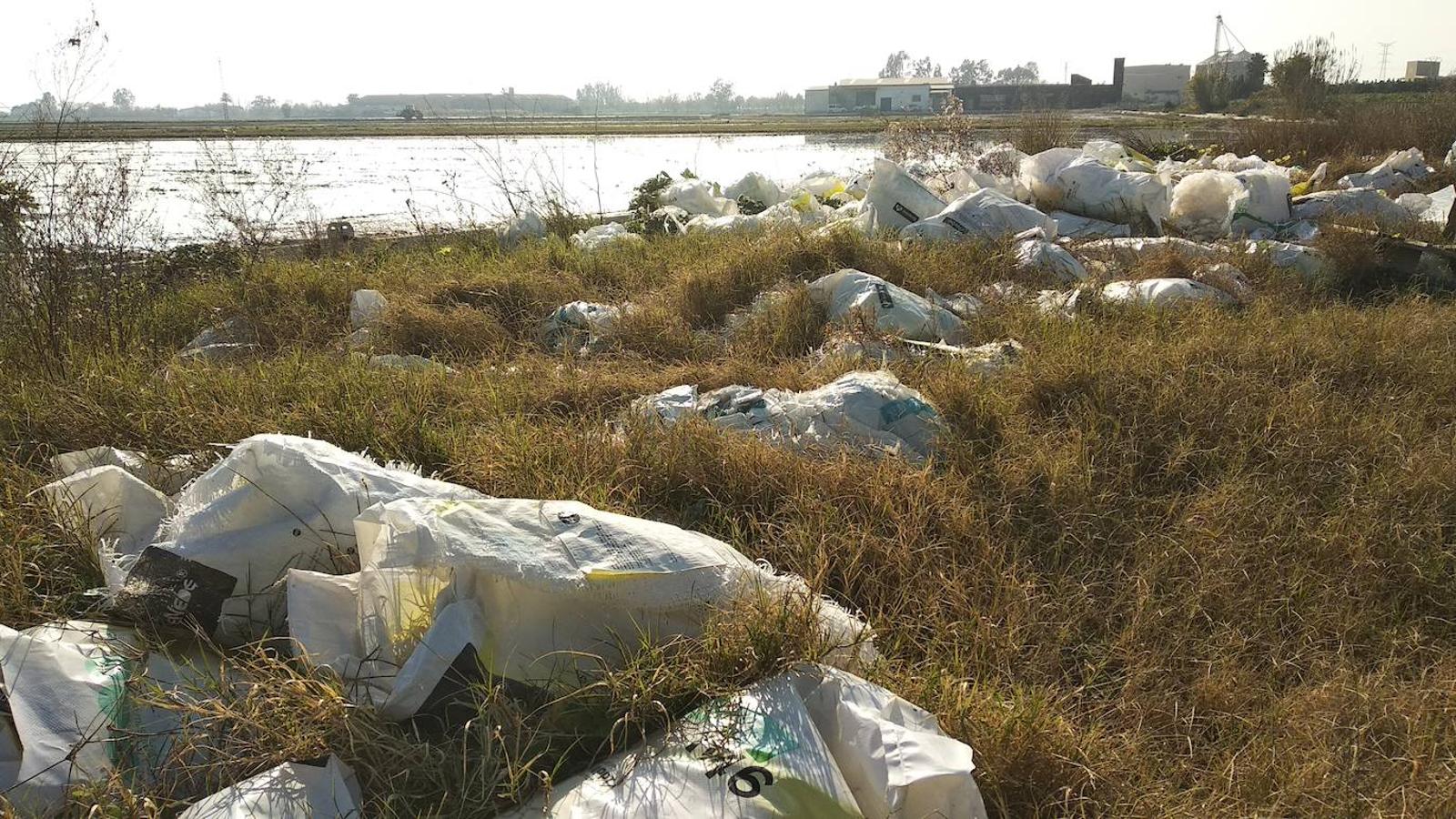 Basuras depositadas junto al acceso al puerto de Catarroja. 