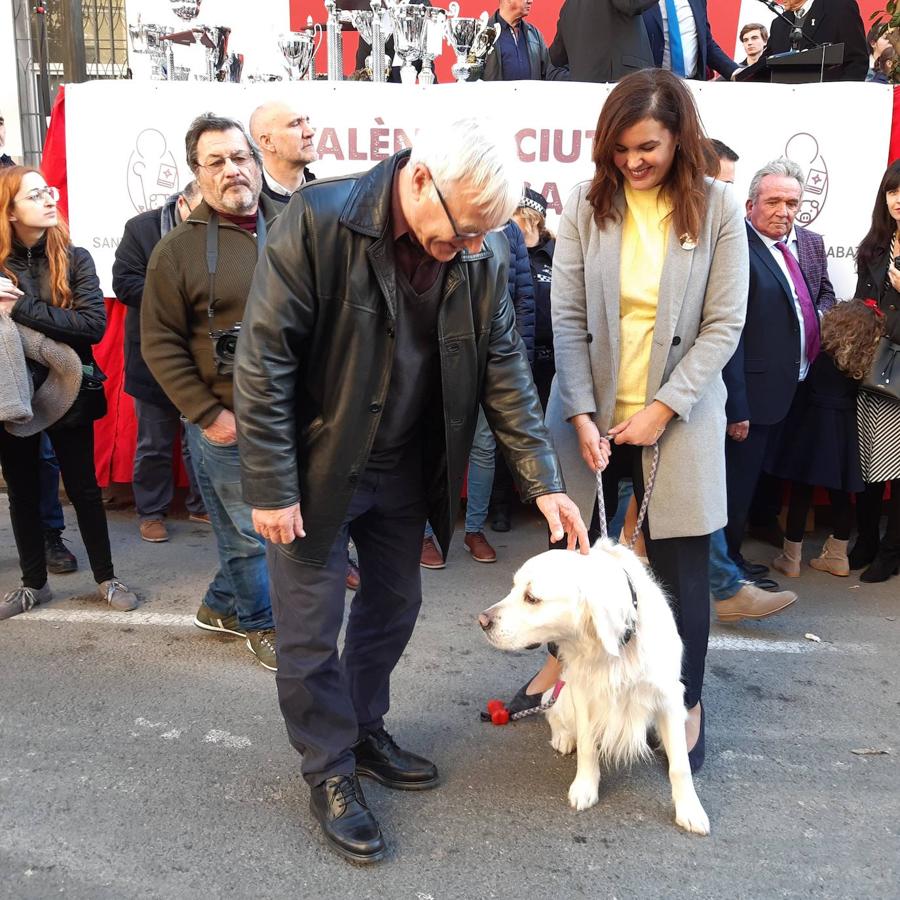 Fotos: Las mascotas celebran San Antonio en Valencia