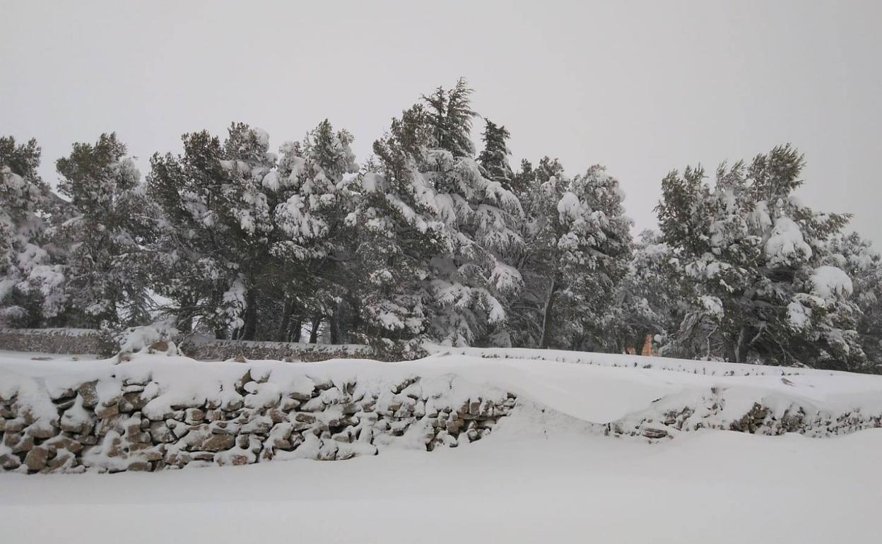 Nieve acumulada en Vilafranca.