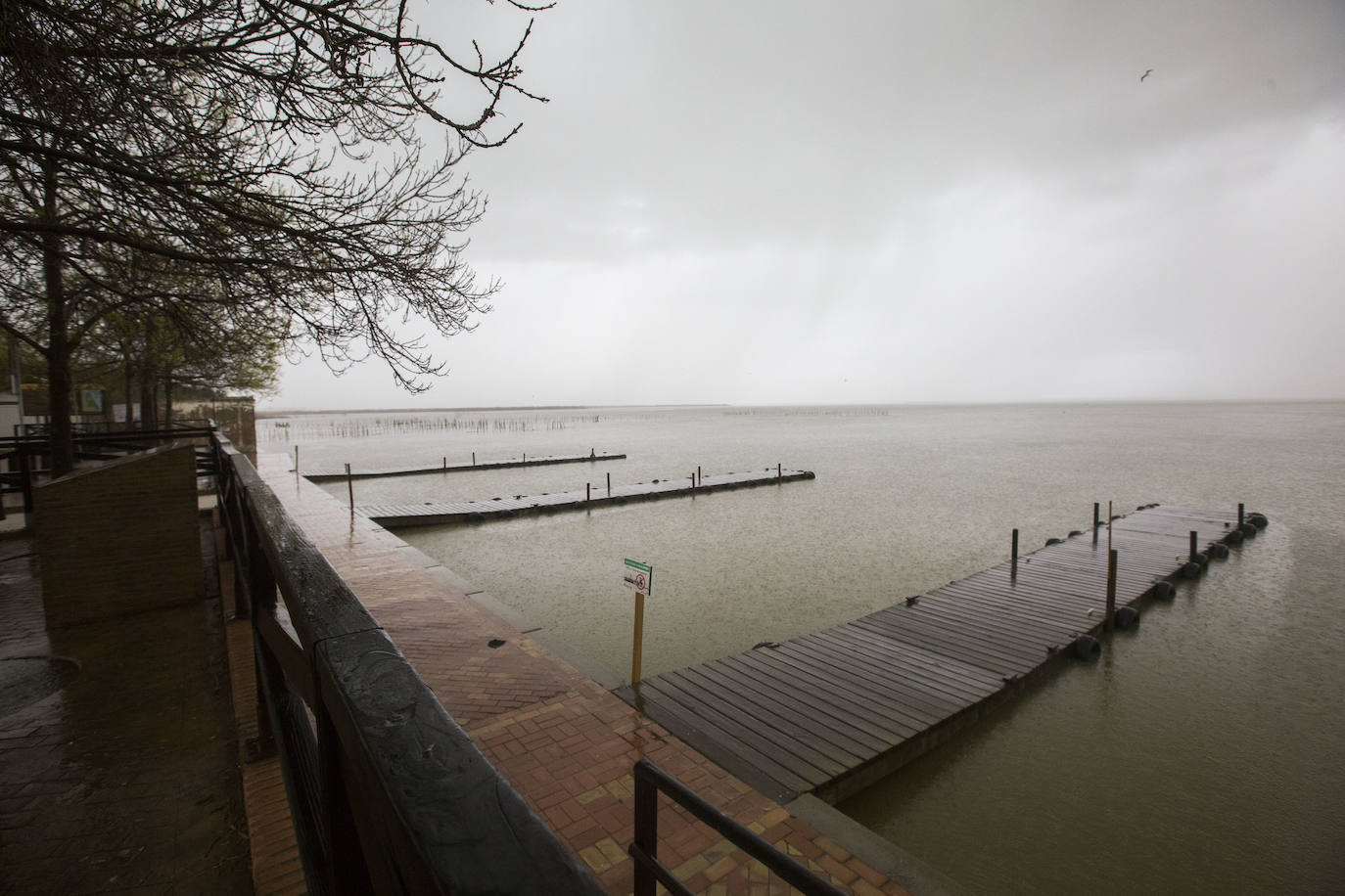 Albufera