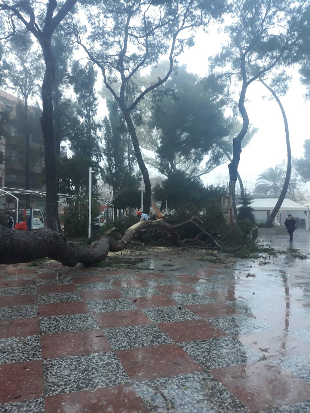 Daños del temporal en Alberic