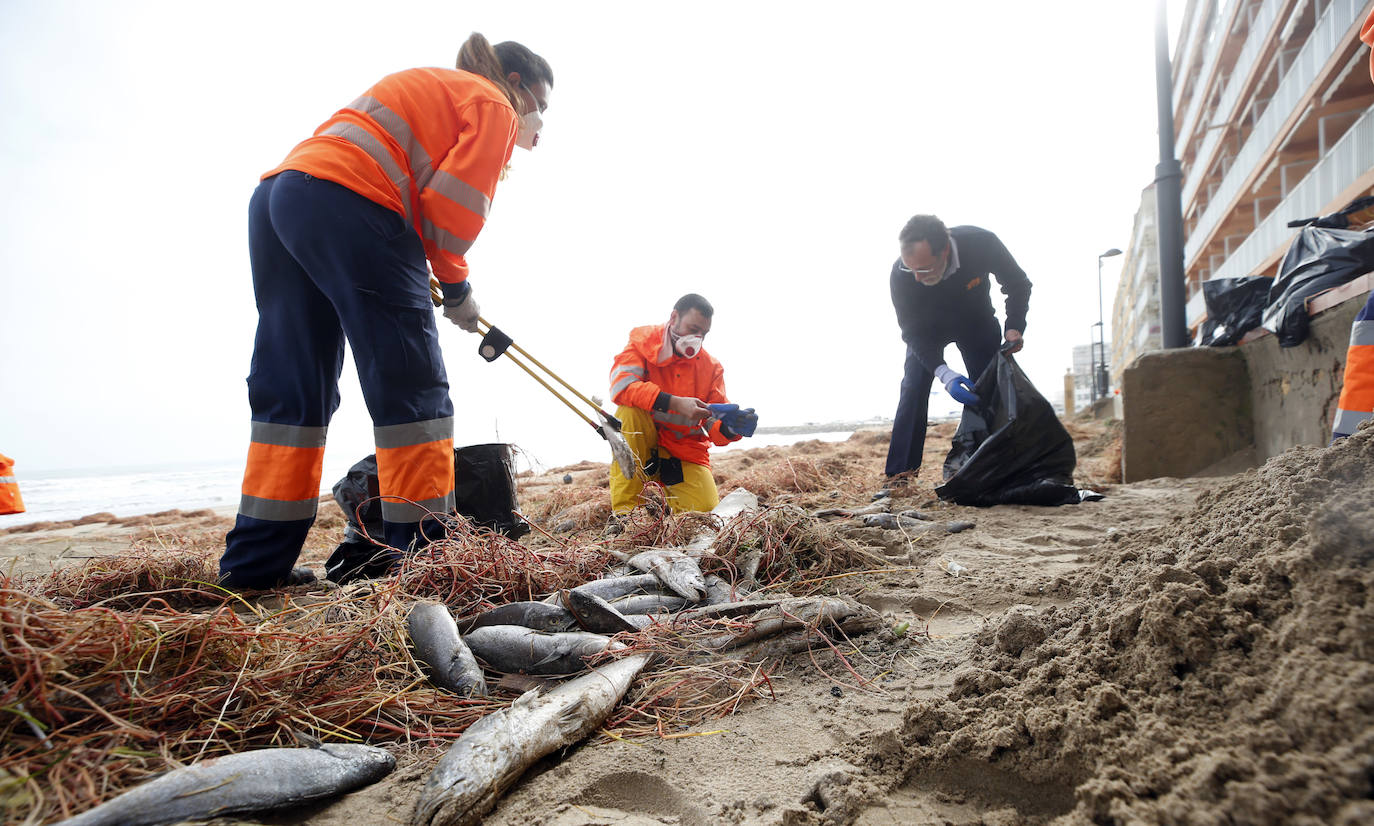 El mar ha engullido el paseo marítimo dejando imágenes desoladoras