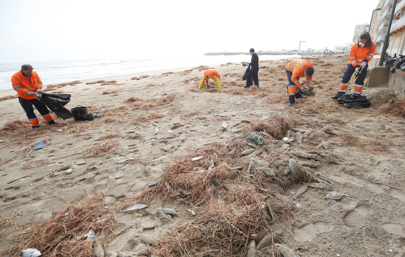 El mar ha engullido el paseo marítimo dejando imágenes desoladoras