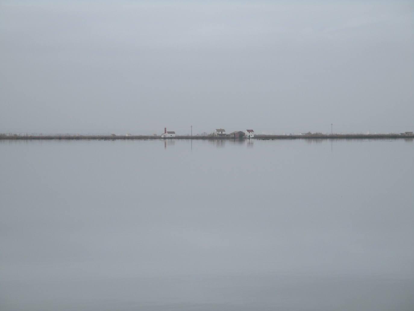 Fotos: Los arrozales de la Albufera