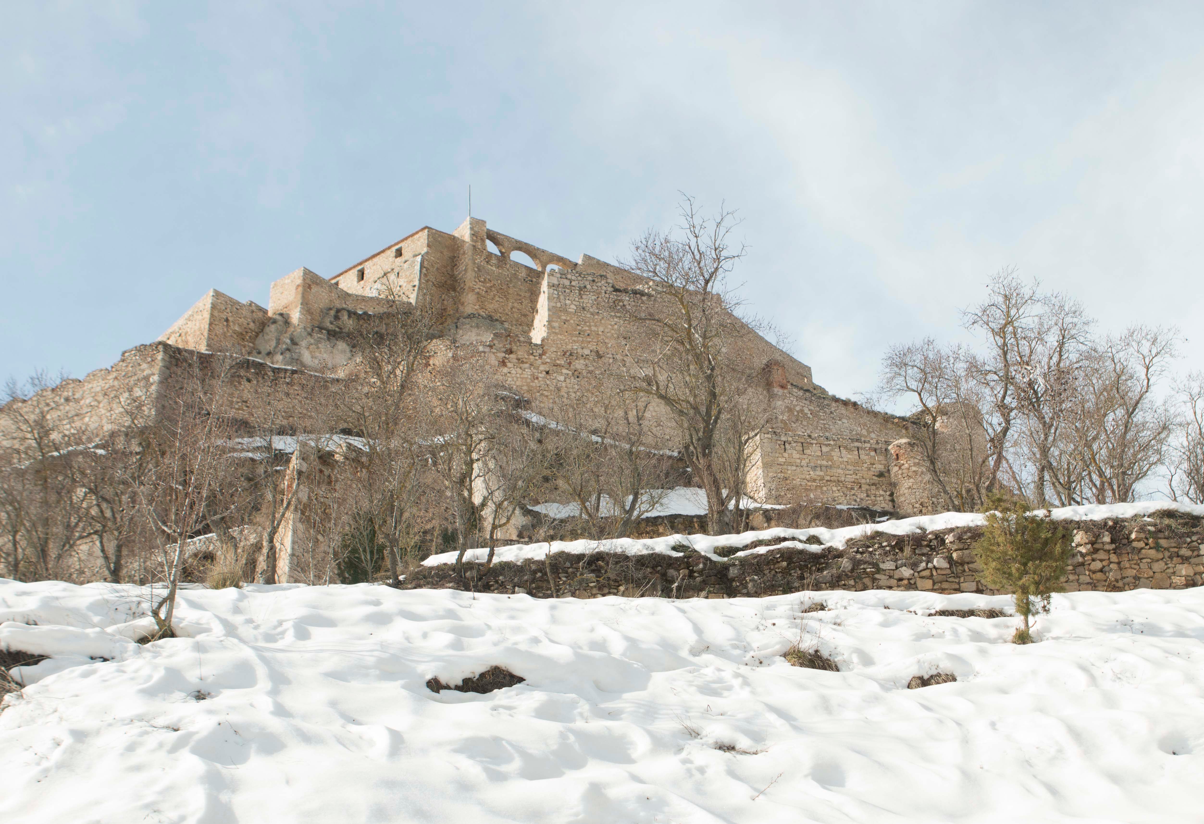 Morella