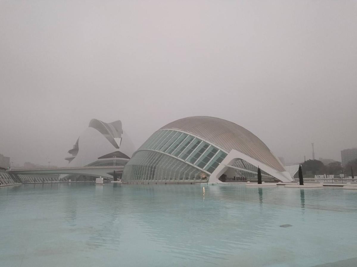 Fotos: La niebla cubre Valencia