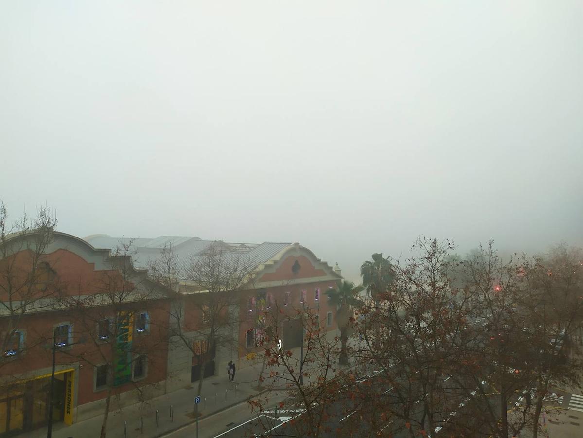 Fotos: La niebla cubre Valencia