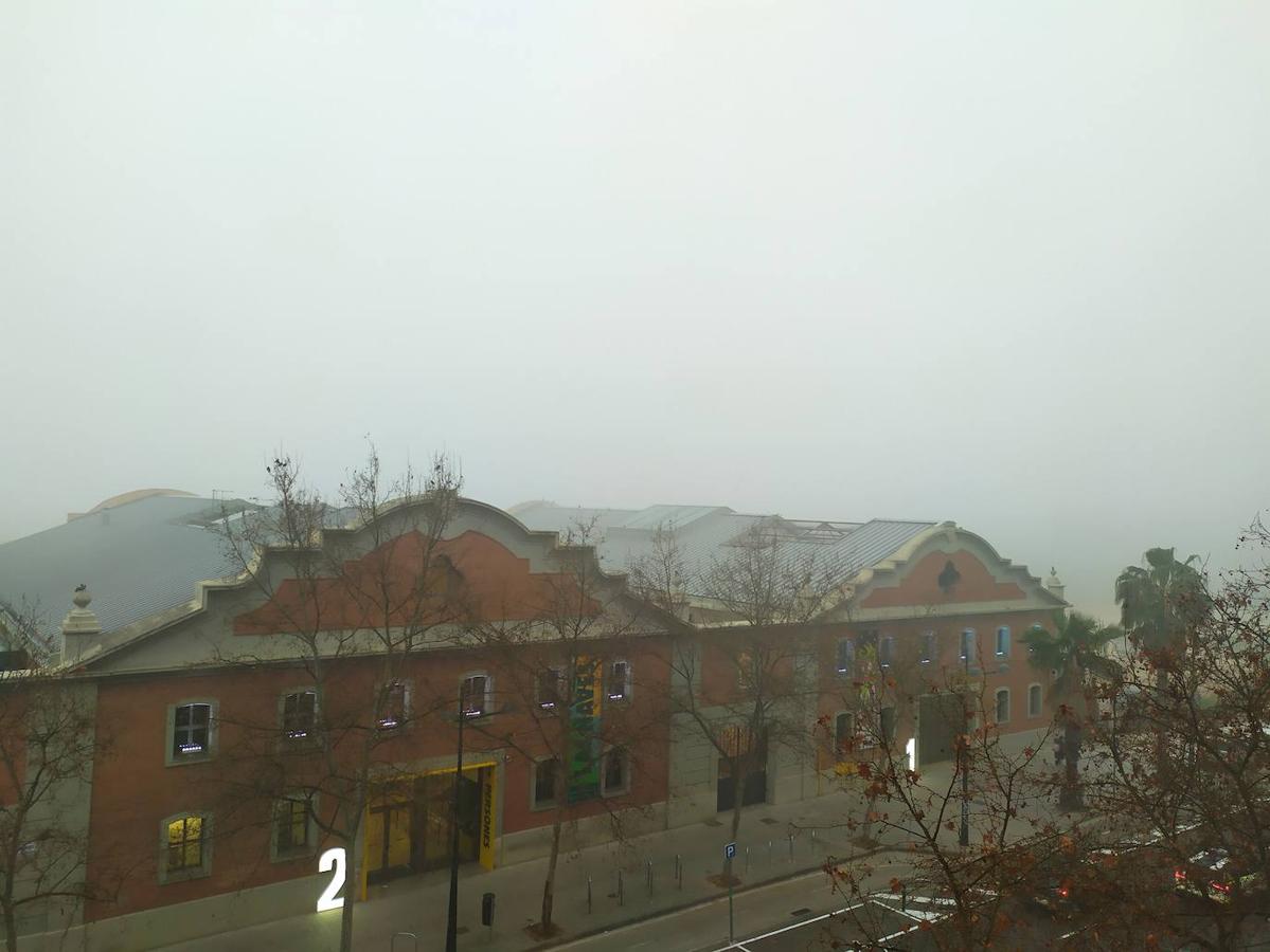 Fotos: La niebla cubre Valencia