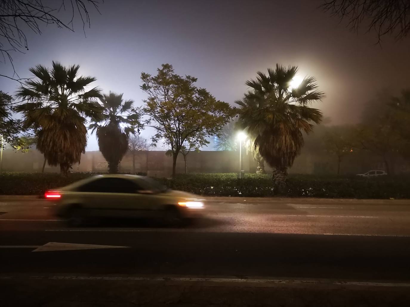 Fotos: La niebla cubre Valencia