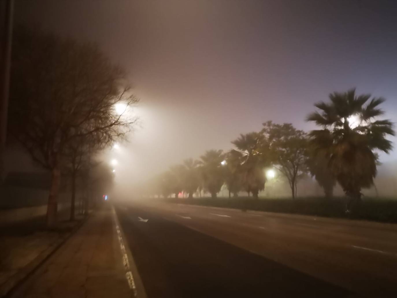 Fotos: La niebla cubre Valencia