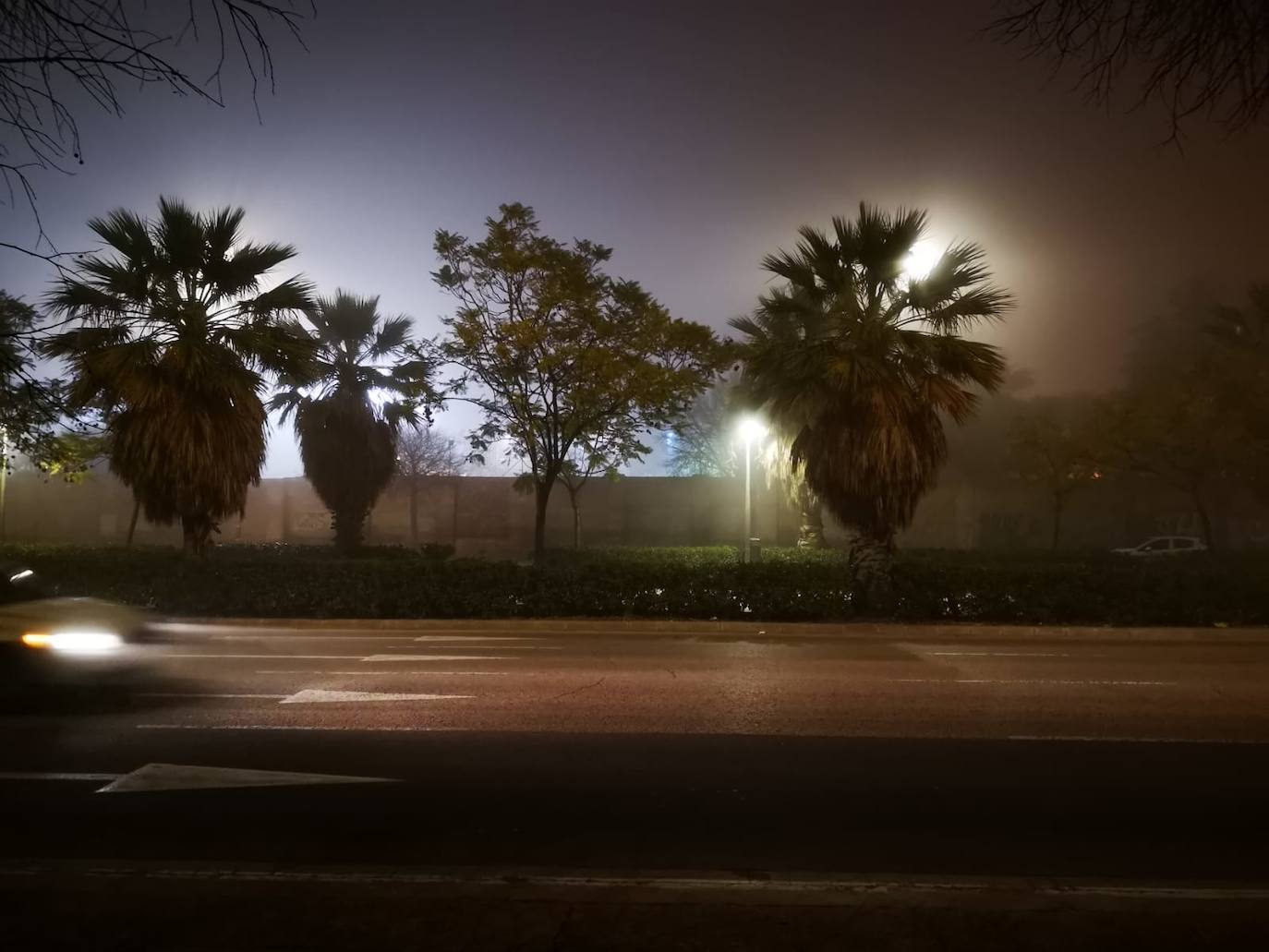 Fotos: La niebla cubre Valencia