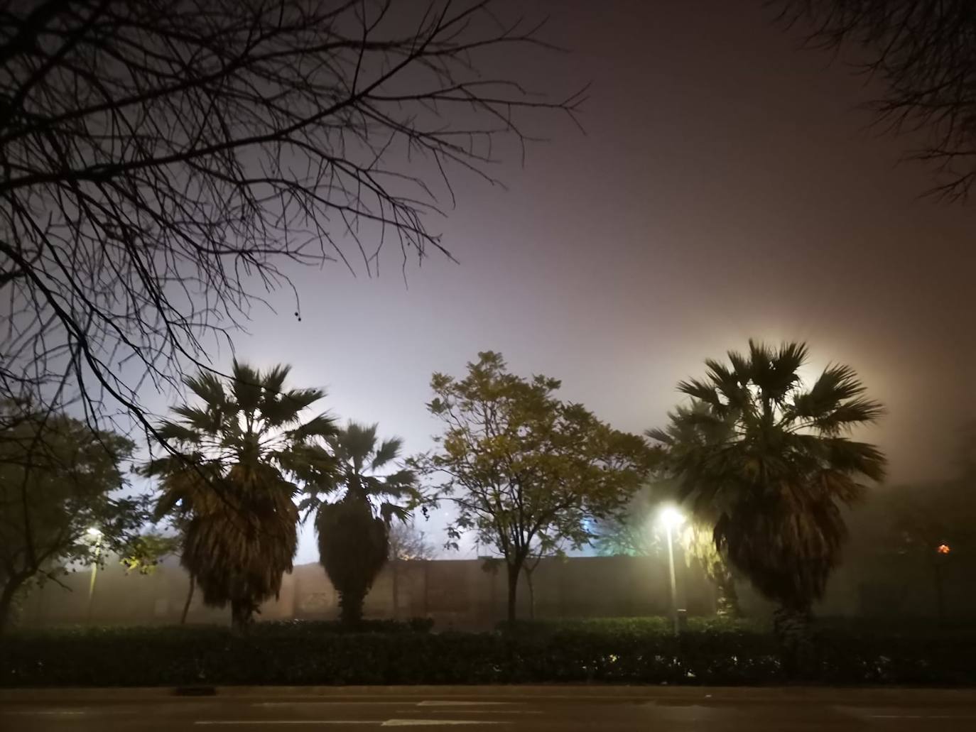 Fotos: La niebla cubre Valencia