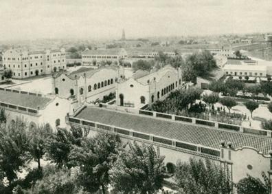 Imagen secundaria 1 - Grupo San Francisco Javier.