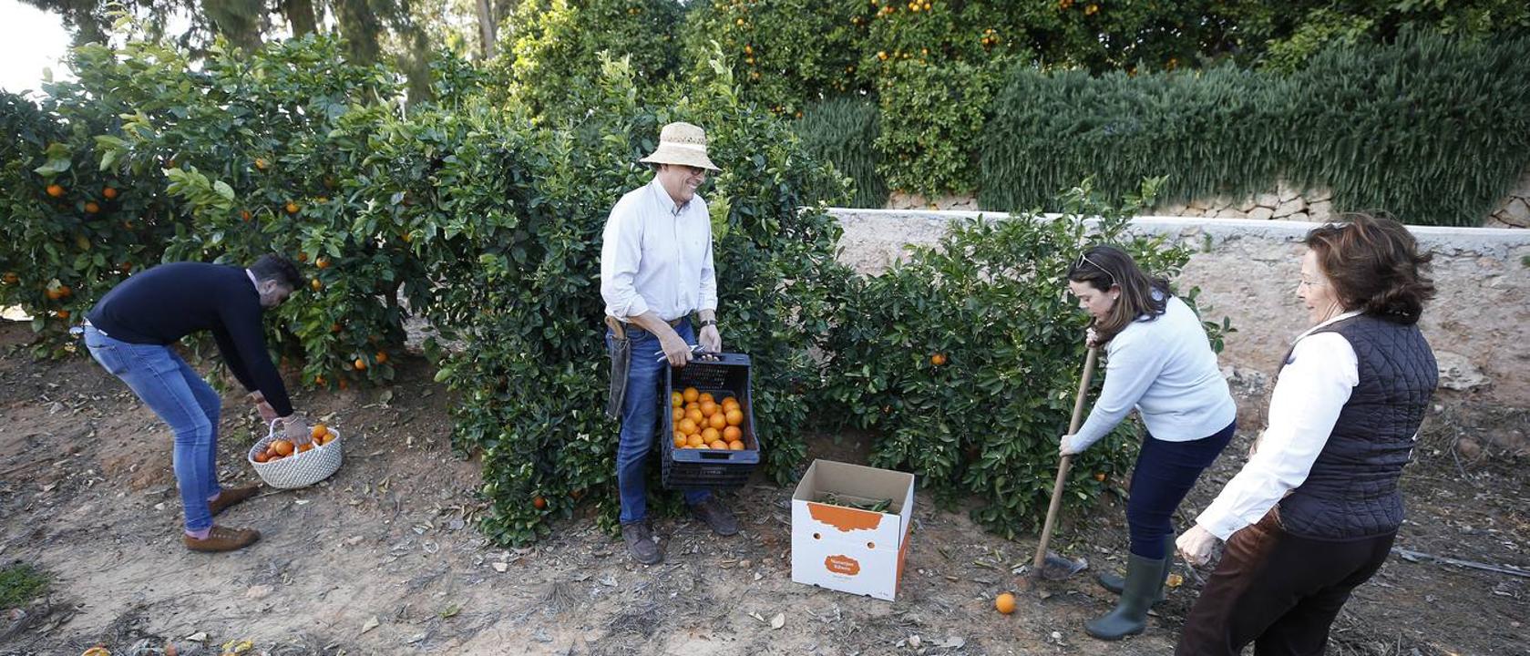 Las vidas del campo valenciano